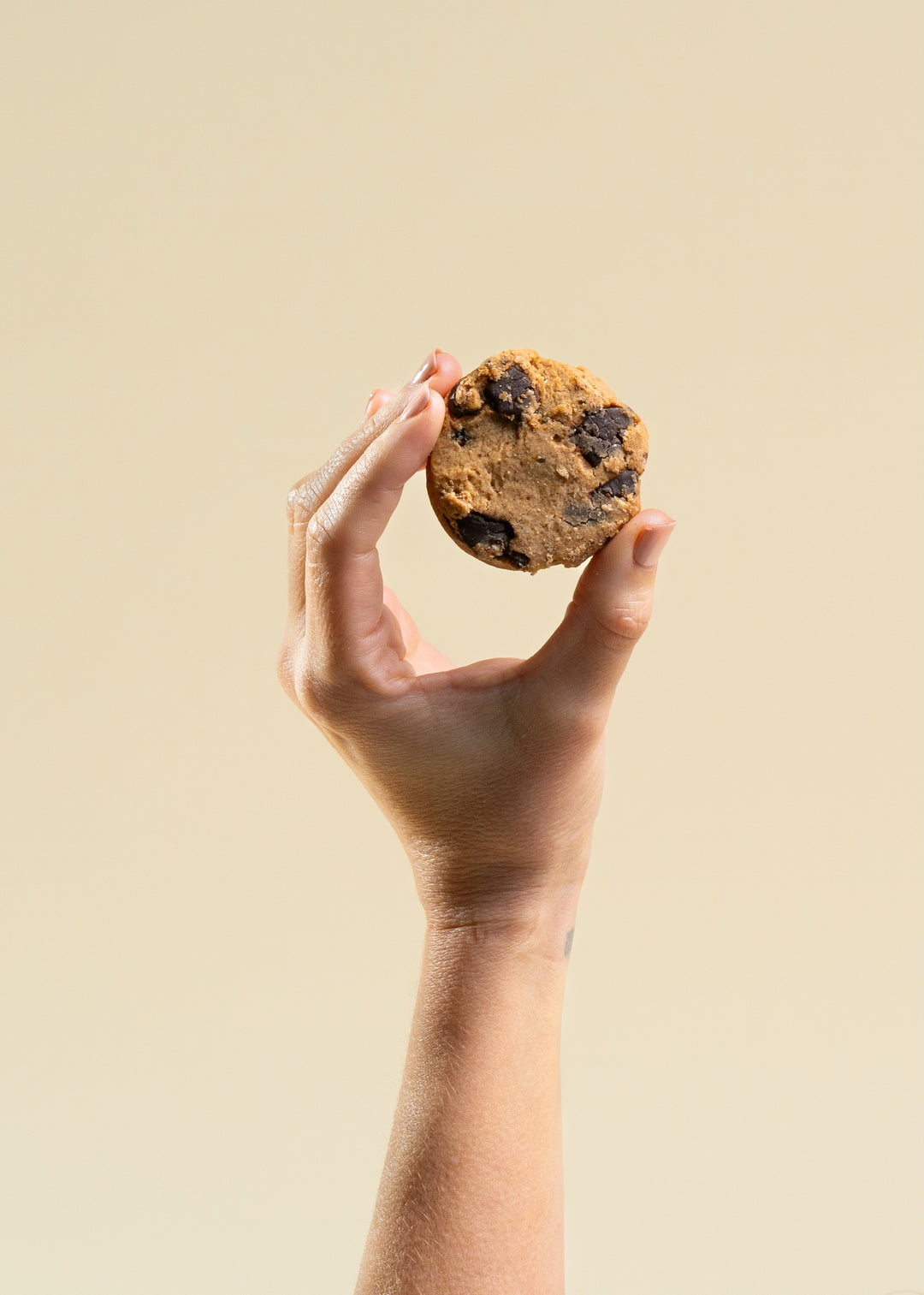 Chocolate Chip Mama Biscuits (Gluten Free)