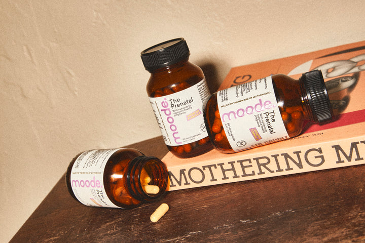 The Prenatal by Moode